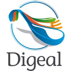 Digeal S.r.l.