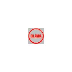 Dilanda