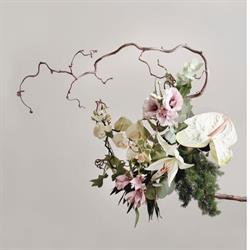 Ditelo Coi Fiori Di Carmelo Gallo e Antonella Nicosia