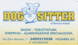 Dog Sitter Di Romano Antida