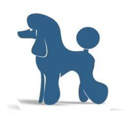 Dog by dog