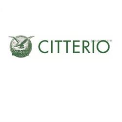 Domenico Citterio & C.