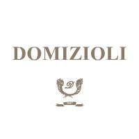 Domizioli