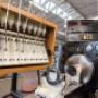 Gallery Professionale