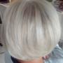 Gallery Professionale
