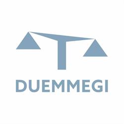 Duemmegi - Home and Building Automation
