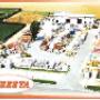Azienda