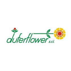 Duferflower SRL