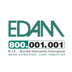 Edam