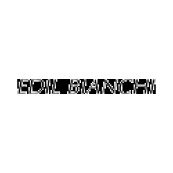 Edil Bianchi