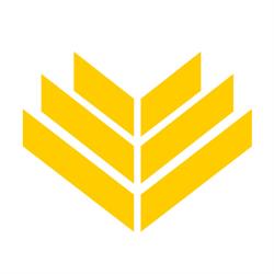 Editrice Il Campo (Srl)