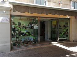Elena Porrovecchio SRL
