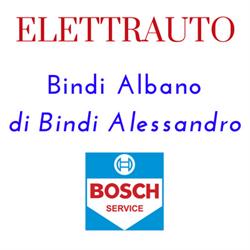 Elettrauto Bindi Albano