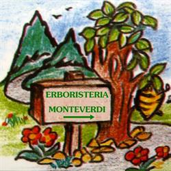 Erboresteria Monteverdi