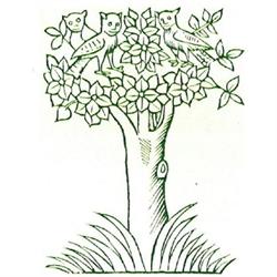 Erboristeria Bellandi Dr.Ssa Camilla