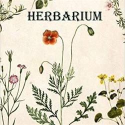 Erboristeria Herbarium