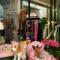 Collari & guinzagli for pet