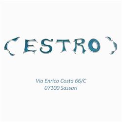 Estro SRL