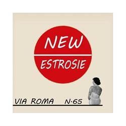 Estrosie Parrucchieri S.n.c Di Melani Massimo & C.