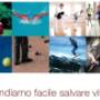 Forniture Ospedaliere