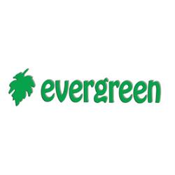 Evergreen