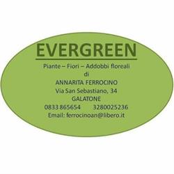 Evergreen Di A. Ferrocino
