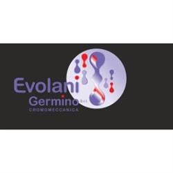 Evolani Germino