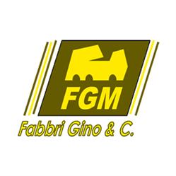 F G m Di Fabbri Gino e C. SNC