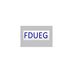 F.D.U.E.G. Trasformatori Elettrici