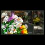 Fiori