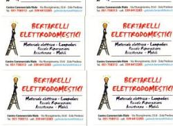 F.lli Bertarelli S.a.s. Di Bertarelli Gabriele & C.