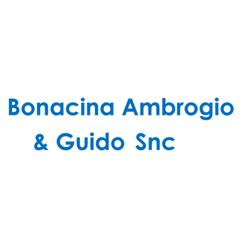 Bonacina Ambrogio e Guido