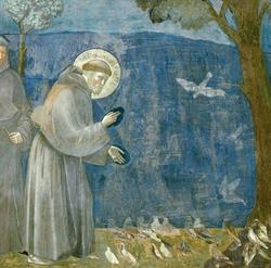 F.lli Di S. Francesco
