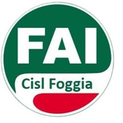 Fai Cisl Fed.ag.alim.amb.industriale