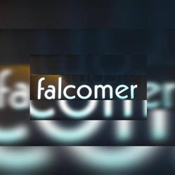 Falcomer SRL