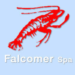 Falcomer Spa