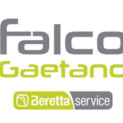 Falco Gaetano