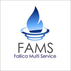 Fams srl