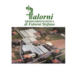Falorni Ortoflorovivaistica