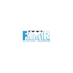 Famir Srl