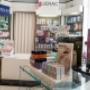 Gallery Professionale
