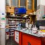 Gallery Professionale