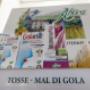 Gallery Professionale