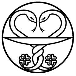 Farmacia Dr. Ruggeri Marco & C. S.n.c.