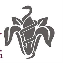 Farmacia Fiorentini