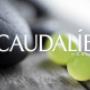 Caudalie - Farmacia Grasso (Messina)
