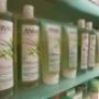 Gallery Professionale