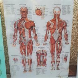 Farmacia S. Anna