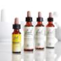 Farmacia San Alberto