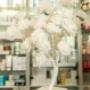 Gallery Professionale